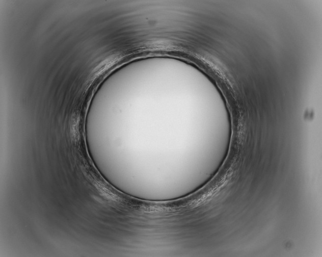 X0000098050873200804111310