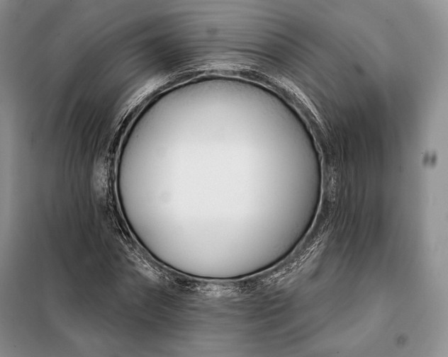 X0000098050874200804111310