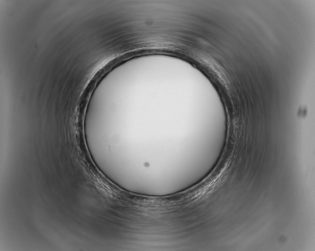 X0000098050875200804111310