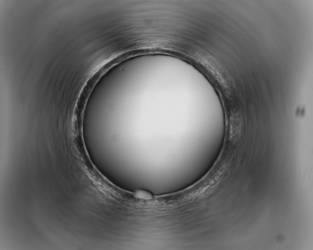 X0000098050876200804111310