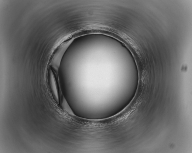 X0000098050877200804111310