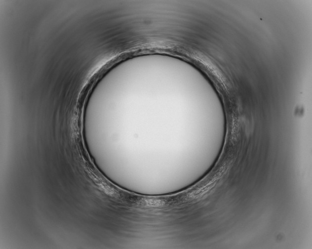 X0000098050878200804111310