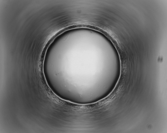 X0000098050879200804111310