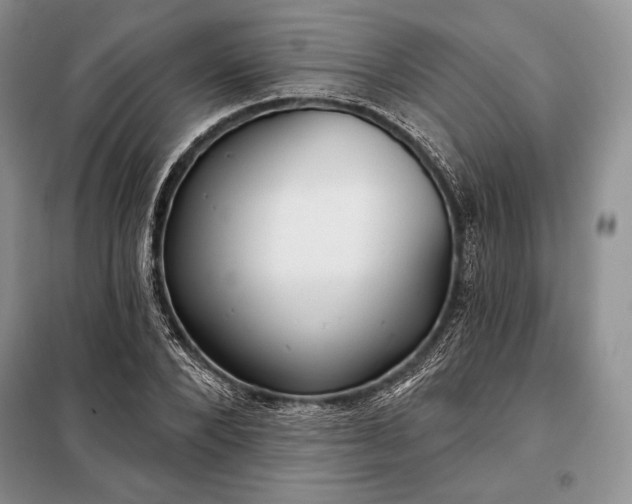 X0000098050880200804111310