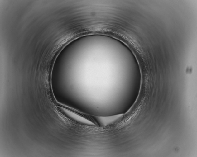 X0000098050881200804111310