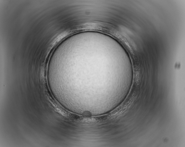 X0000098050882200804111310