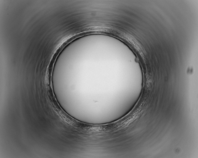 X0000098050883200804111310