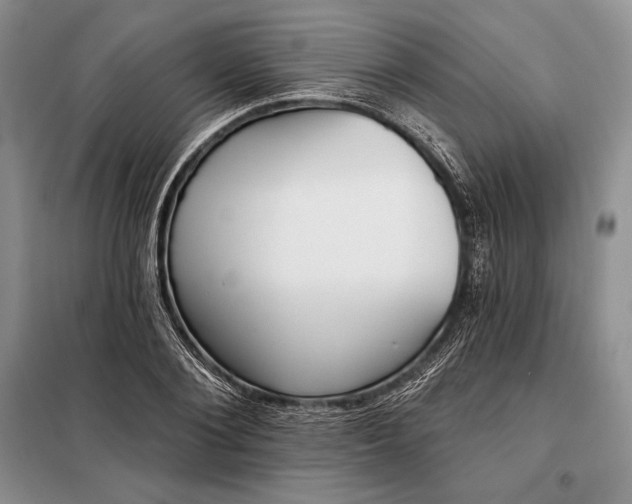 X0000098050884200804111310