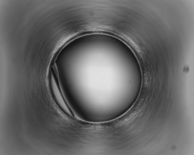 X0000098050885200804111310