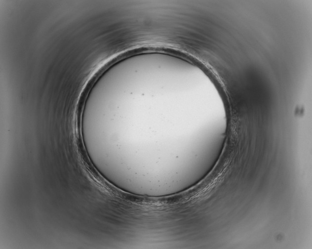 X0000098050887200804111310