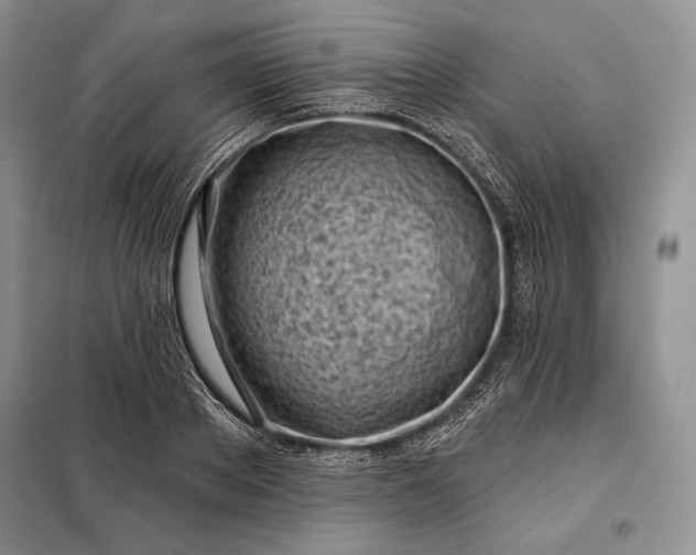 X0000098050889200804111310