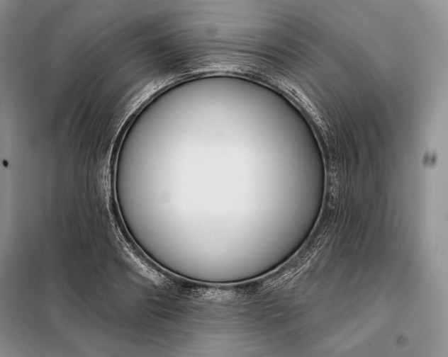 X0000098050890200804111310