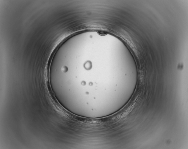 X0000098050891200804111310