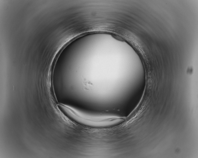 X0000098050892200804111310