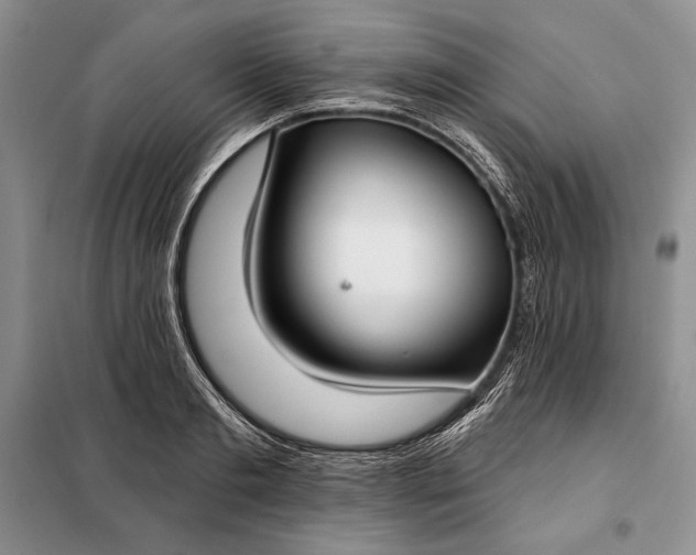 X0000098050893200804111310