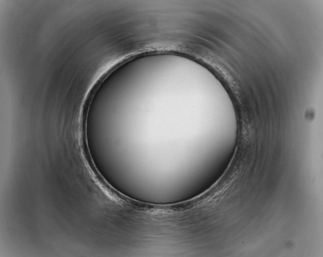 X0000098050894200804111310