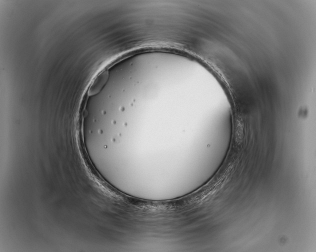 X0000098050895200804111310