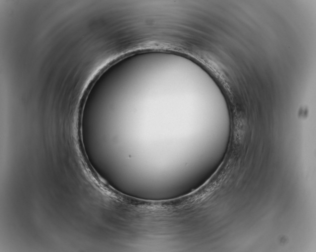 X0000098050896200804111310