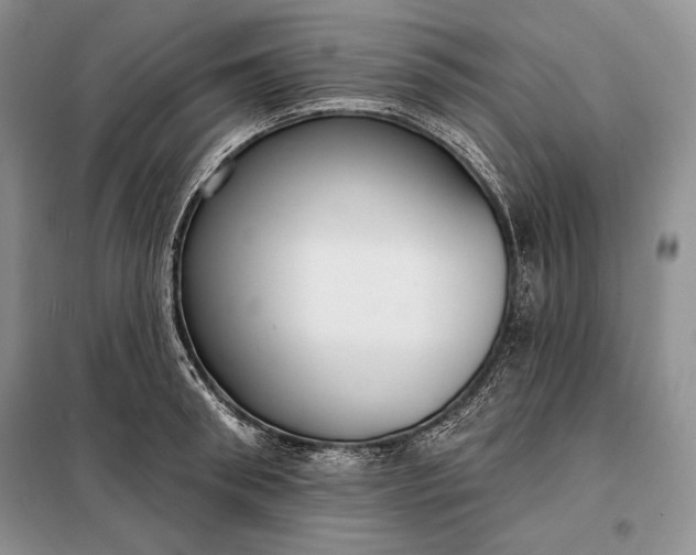 X0000098050898200804111310