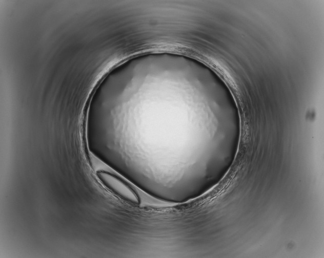 X0000098050899200804111310