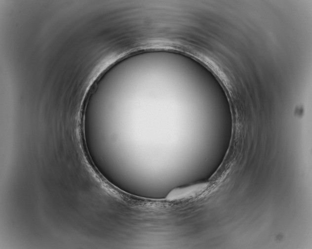 X0000098050901200804111310