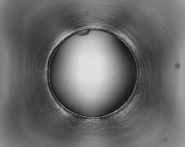 X0000098050902200804111310