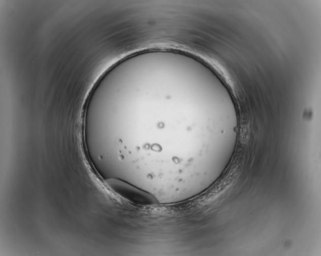 X0000098050903200804111310