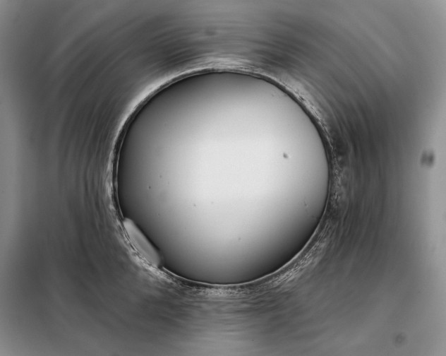 X0000098050904200804111310