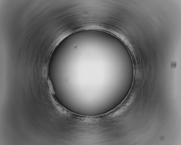 X0000098050905200804111310