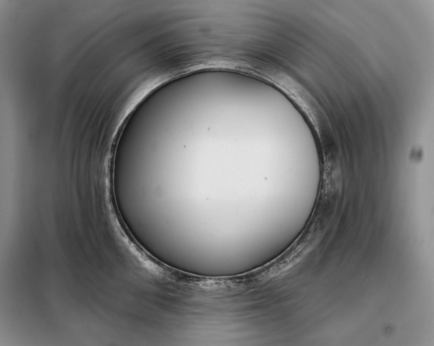 X0000098050906200804111310