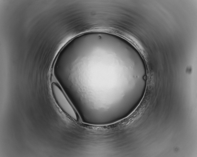 X0000098050907200804111310