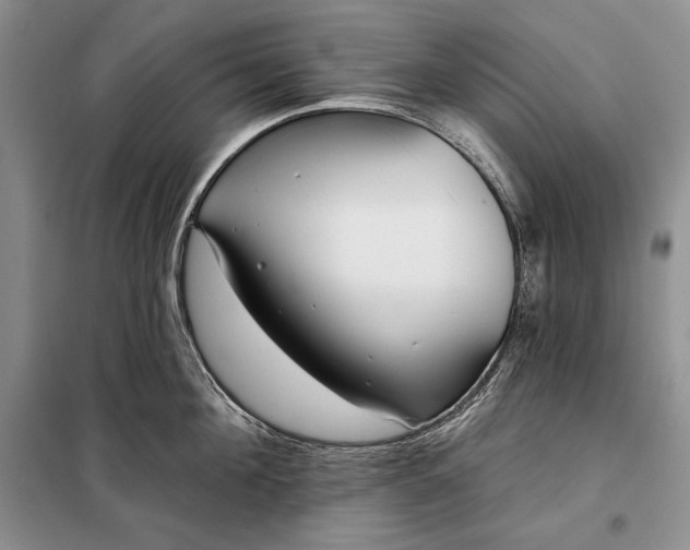 X0000098050908200804111310