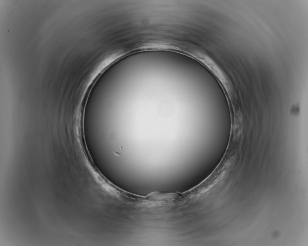 X0000098050909200804111310