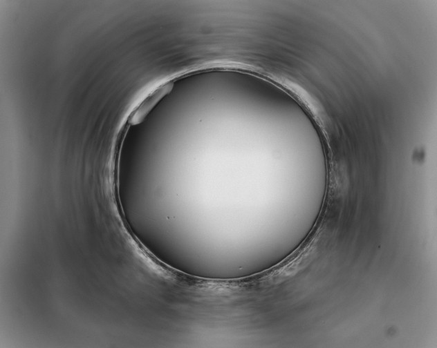 X0000098050910200804111310