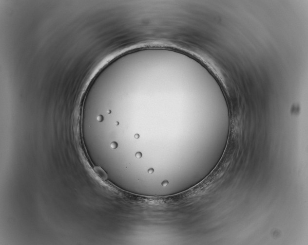 X0000098050911200804111310