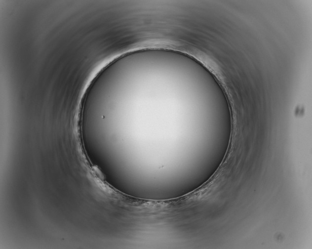 X0000098050912200804111310