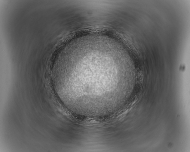 X0000098050913200804111309