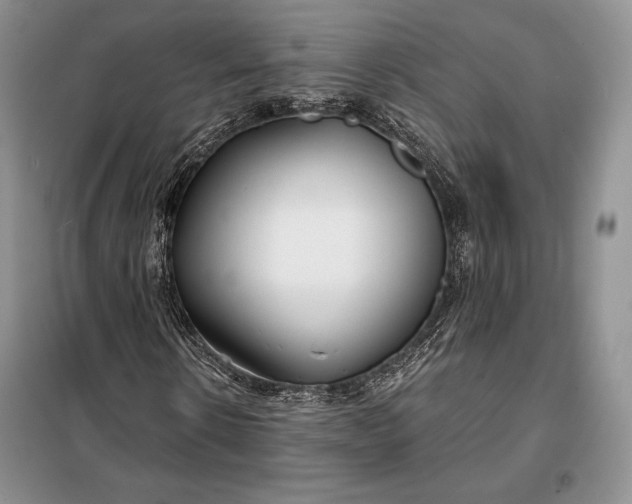 X0000098050914200804111309