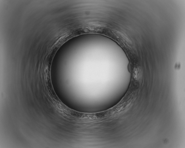 X0000098050915200804111309