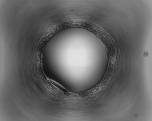 X0000098050916200804111309