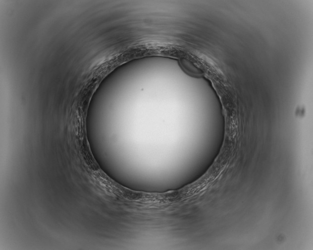 X0000098050917200804111309