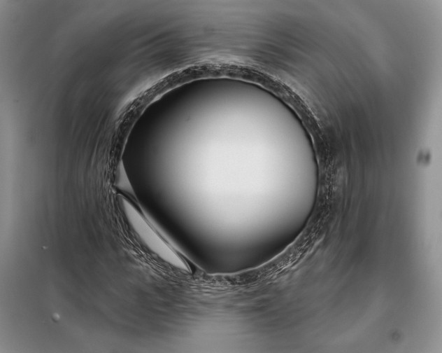 X0000098050919200804111309