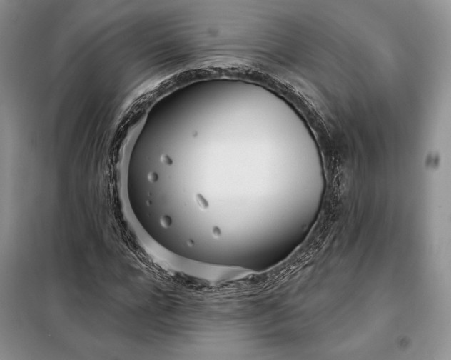 X0000098050920200804111309