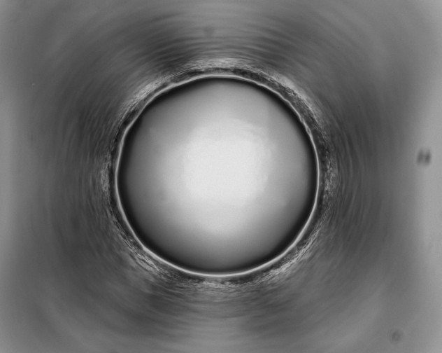 X0000098050921200804111309