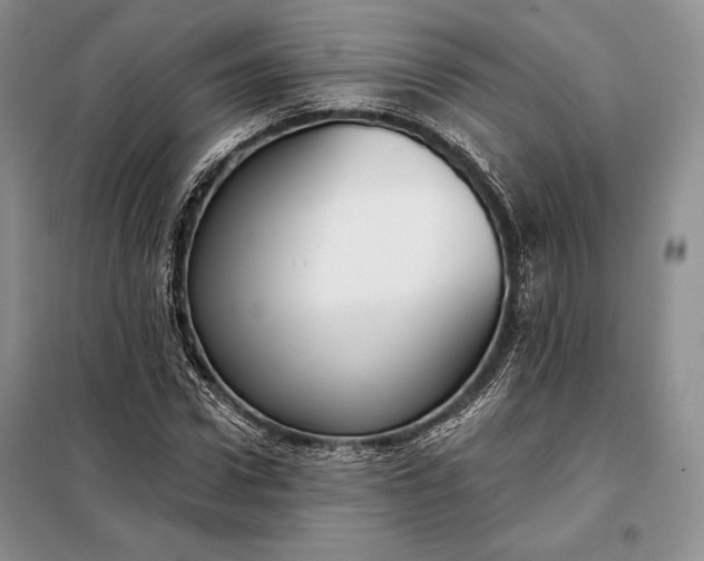 X0000098050922200804111309