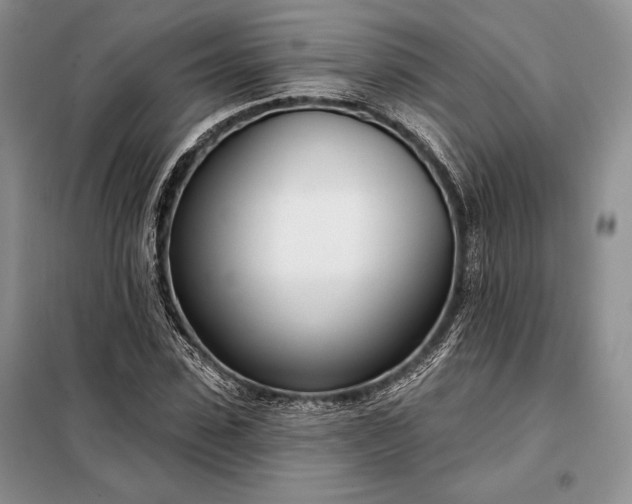 X0000098050923200804111309