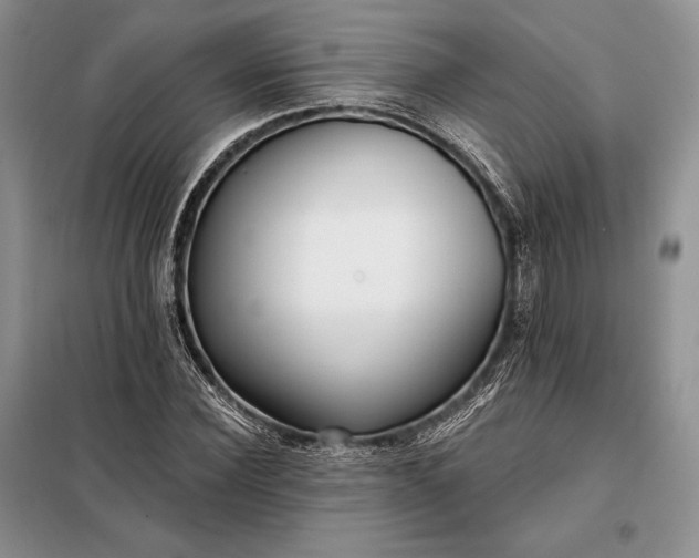 X0000098050924200804111309