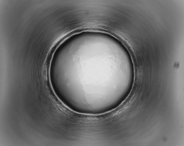 X0000098050925200804111309