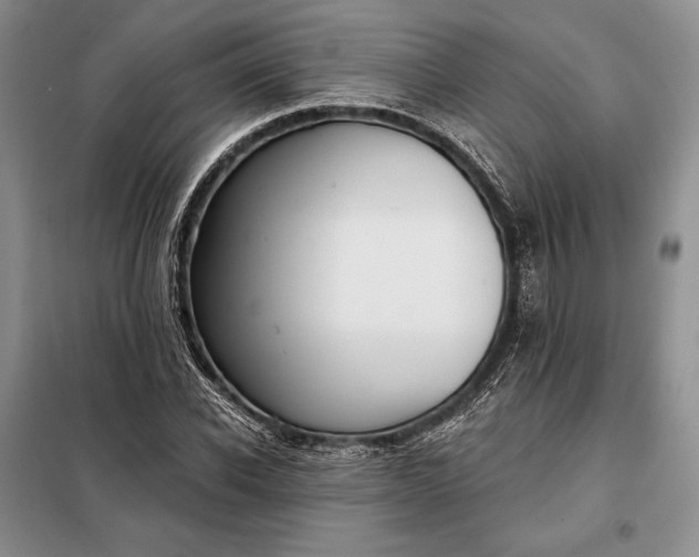 X0000098050926200804111309