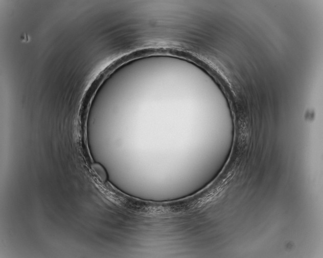 X0000098050927200804111309